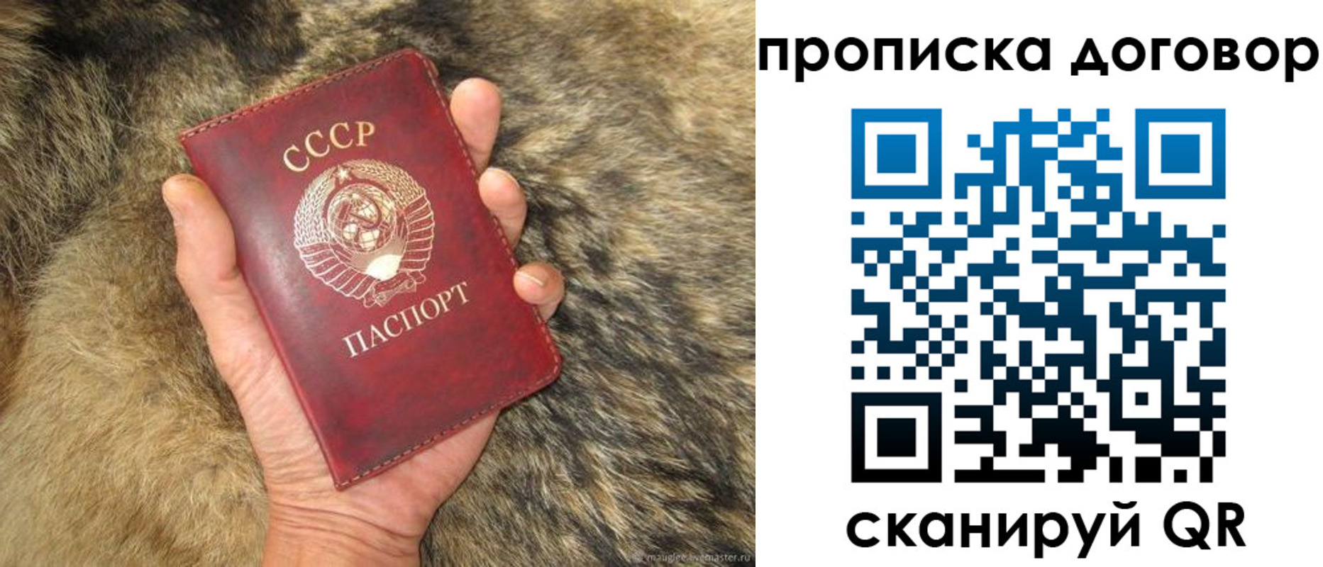 прописка регистрация в Волгодонске